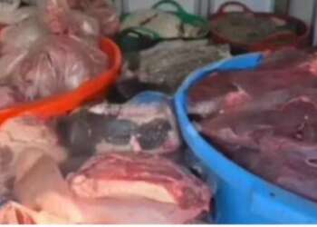 تطوان. حجز حوالي طن من اللحوم الفاسدة كانت في طريقها إلى الأسواق