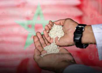 أزمة الإمدادات في الخليج قد تدفع بالمغرب إلى واجهة صادرات الأسمدة عالميًا
