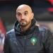 وليد الركراكي يقترب من تجربة تدريبية جديدة في الدوري الإنجليزي