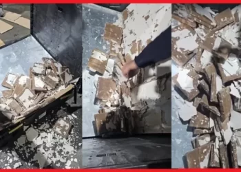 إحباط تهريب أكثر من طن من الشيرا بميناء طنجة المتوسط