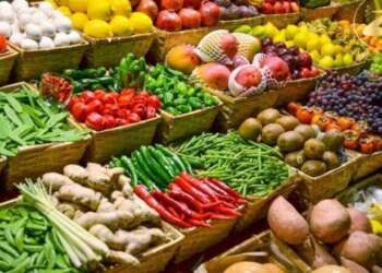 الخضر المغربية تُنقذ موائد إسبانيا… أزمة الطاقة تُعيد رسم معادلة الأمن الغذائي