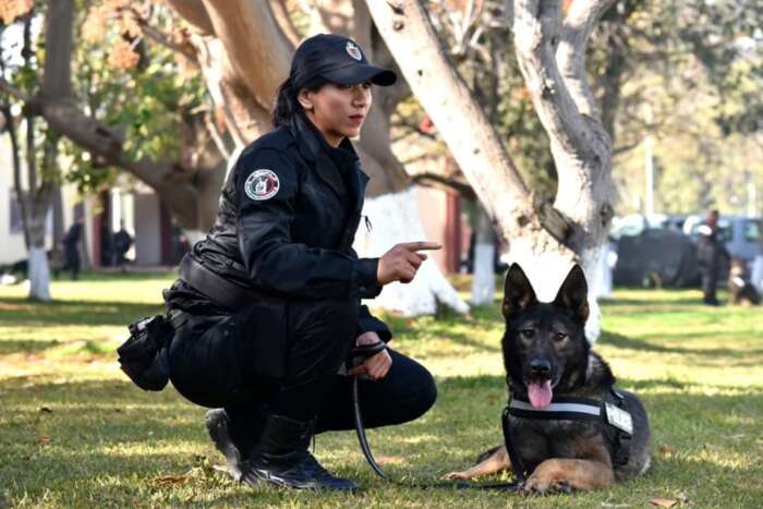 الأمن الوطني ينظم دورة تكوينية لفائدة متدربين من مالي في مجال تدريب الكلاب البوليسية 