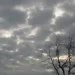 الأحد.. أجواء غائمة وقطرات مطرية بهذه المناطق