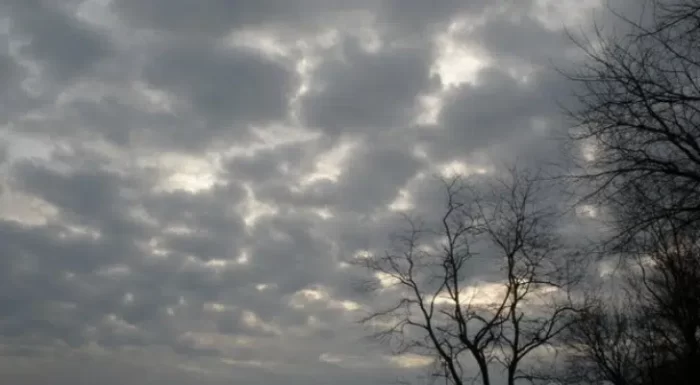 طقس الخميس.. كتل ضبابية بهذه المناطق 