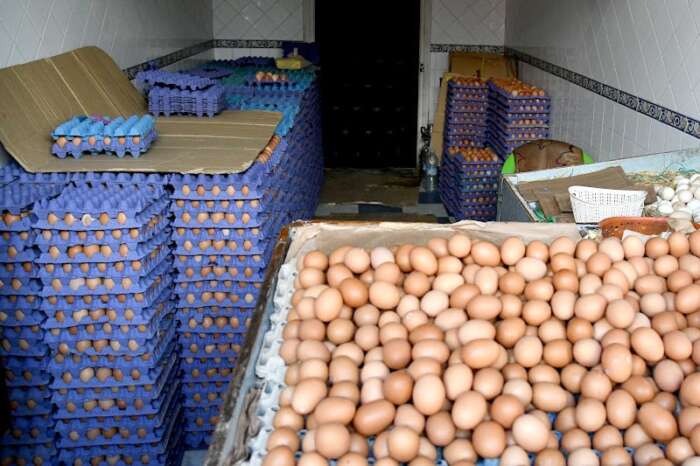 تراجع أسعار البيض بالمغرب ينعش القدرة الشرائية ويثير قلق المنتجين 