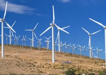 المغرب يواصل صعوده في الطاقات المتجددة ويحتل المرتبة الثانية إفريقيا في نمو طاقة الرياح