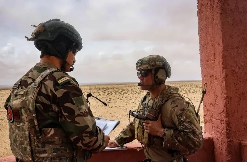 الأسد الإفريقي وزئير الجيش المغربي 