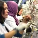 المندوبية السامية للتخطيط: ضعف إدماج المرأة في سوق الشغل يهدد توازنات الحماية الاجتماعية بالمغرب