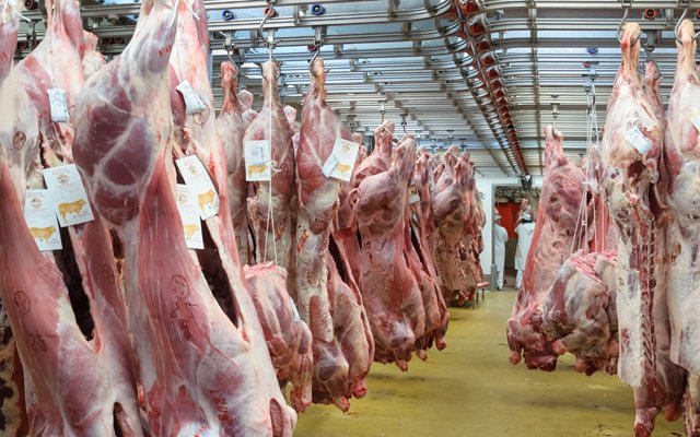 الدار البيضاء تعبئ المجازر الجماعية لذبح الأضاحي وسط معايير صحية مشددة 
