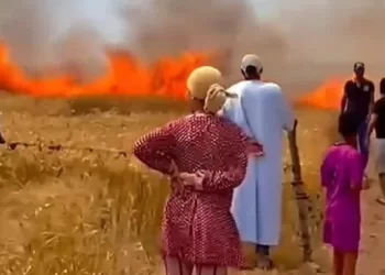 حرائق تلتهم عشرات الهكتارات بإقليم برشيد وتثير مخاوف الفلاحين