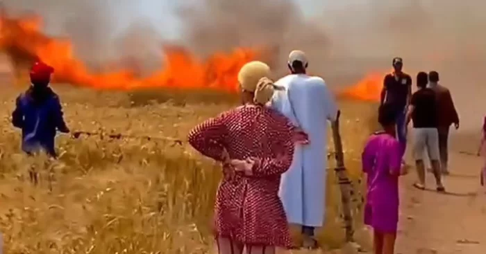 حرائق تلتهم عشرات الهكتارات بإقليم برشيد وتثير مخاوف الفلاحين