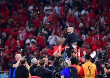 مونديال 2026.. حين تتحول أفريقيا من ضيف شرف إلى شريك في صناعة التاريخ