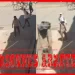توقيف ثلاثيني اعتدى على شخصين وسيدة بالسلاح الأبيض في قصبة تادلة