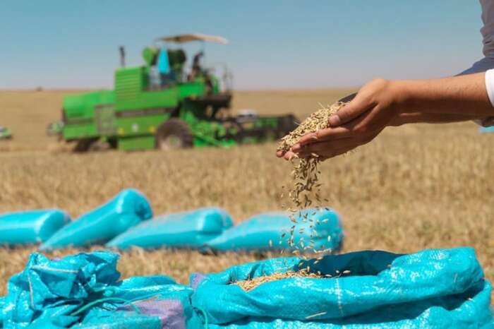 المغرب يعزز حضوره في الفلاحة بأمريكا اللاتينية عبر صادرات الأسمدة والشراكات الاستراتيجية 