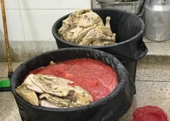 مراكش تشدد الخناق على المخالفين.. حجز 200 كيلوغرام من الدجاج الفاسد وإغلاق مطعم بجليز