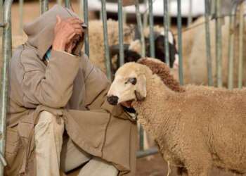 اعتداء مسلح على تجار أضاحي بضواحي الحاجب واستنفار أمني لتعقب الجناة