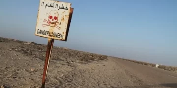 من جنيف.. حقوقيون يحمّلون “البوليساريو” مسؤولية استمرار خطر الألغام بالصحراء المغربية ويحذرون من تداعياتها على المدنيين