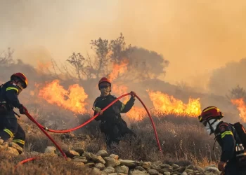 المغرب يرفع درجة التأهب لمواجهة حرائق الغابات وسط موجة حر