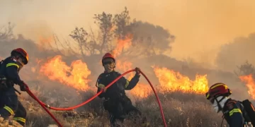 المغرب يرفع درجة التأهب لمواجهة حرائق الغابات وسط موجة حر