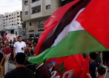 من تحت أنقاض الحرب.. غزة تحتفل بتأهل المغرب إلى ربع نهائي المونديال
