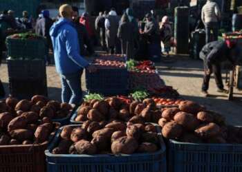 استقرار أسعار الخضر والفواكه بالجملة ينعش آمال المستهلكين رغم استمرار غلاء التقسيط
