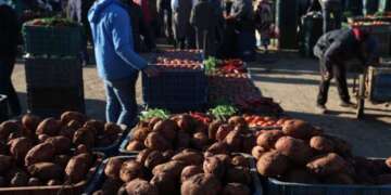 استقرار أسعار الخضر والفواكه بالجملة ينعش آمال المستهلكين رغم استمرار غلاء التقسيط