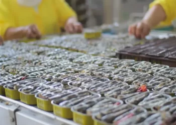 البرازيل تُبقي الرسوم الجمركية على السردين المعلب.. والمصدرون المغاربة يترقبون تأثير القرار