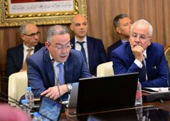 لقجع يكشف حزمة امتيازات ضريبية وتسهيلات جمركية لفائدة الفنانين بالمغرب