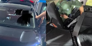 إحباط تهريب 204 كيلوغرامات من الشيرا عبر معبر باب سبتة