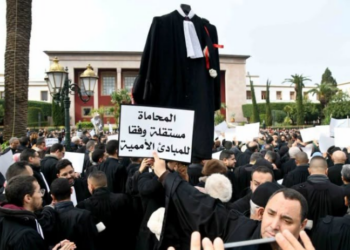 فيدرالية المحامين الشباب تصعد ضد قانون المهنة وتدعو إلى مقاطعة الانتخابات المهنية