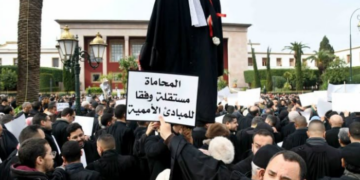 فيدرالية المحامين الشباب تصعد ضد قانون المهنة وتدعو إلى مقاطعة الانتخابات المهنية