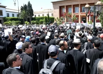 المحامون  يواصلون التوقف عن الخدمات المهنية وسط استمرار الخلاف حول القانون الجديد
