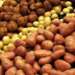 واردات المغرب من البطاطس تسجل مستويات قياسية بعد تراجع الإنتاج المحلي