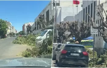 شاحنة ضخمة تثير الفزع بسيدي البرنوصي وتصطدم بست سيارات