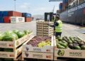صادرات المغرب الفلاحية تحت الضغط في إسبانيا.. مهنيون يحذرون من توظيف السياسة