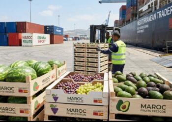 صادرات المغرب الفلاحية تحت الضغط في إسبانيا.. مهنيون يحذرون من توظيف السياسة