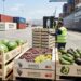 صادرات المغرب الفلاحية تحت الضغط في إسبانيا.. مهنيون يحذرون من توظيف السياسة