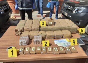 إحباط تهريب 238 كيلوغراماً من الشيرا بميناء طنجة المتوسط