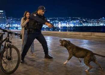 شرطي يطلق النار على «بيتبول» هاجم سيدة بالممر البحري في طنجة