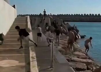 شكاية قضائية بأكادير بعد مطاردة كلب شرس لأطفال بمحيط المارينا