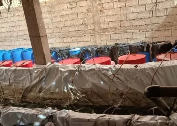 الدرك الملكي ببلفاع يحجز 20 طنا من «الماحيا» داخل معمل سري