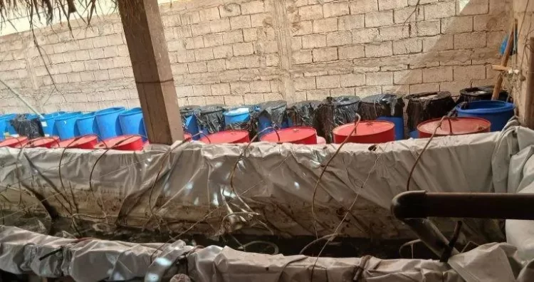 الدرك الملكي ببلفاع يحجز 20 طنا من «الماحيا» داخل معمل سري