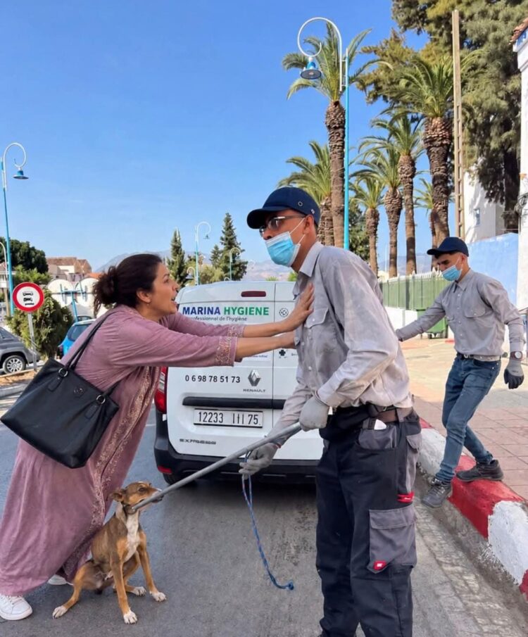 استنكار واسع بشفشاون بسبب جمع كلاب خاضعة للمراقبة الصحية.. من يقف وراء