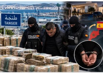 طنجة.. اعتقال «نمر الحشيش» زعيم إحدى أكبر شبكات تهريب المخدرات الفار من