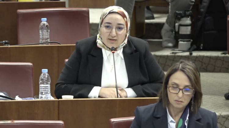 البيكي: مشروع مالية 2027 لا يضع المغرب على طريق تحقيق السيادة الغذائية