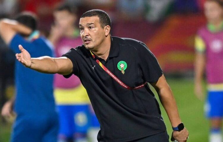 الجامعة ترفض تسريح نبيل باها لتدريب الفتح الرياضي