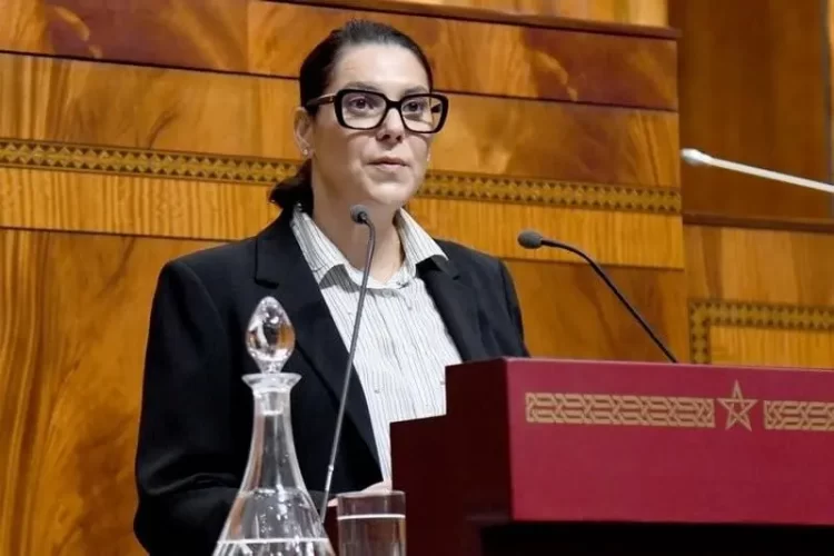 المنصوري تضع تجريم الإثراء غير المشروع وتضارب المصالح ضمن أولويات الحكومة الجديدة