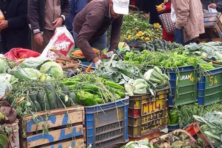 ارتفاع أسعار الخضر بأسواق الجملة.. انتقال موسمي وتراجع العرض يرفعان كلفة البطاطس