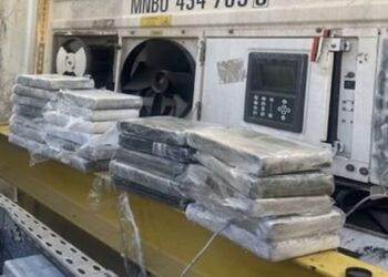 ميناء طنجة المتوسط.. حجز أكثر من 100 كيلوغرام من الكوكايين داخل شاحنة قادمة من أوروبا